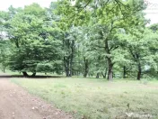 Teren de 4713 mp investitie | Poiana Brasov 