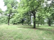 Teren de 4713 mp investitie | Poiana Brasov 