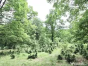 Teren de 4713 mp investitie | Poiana Brasov 