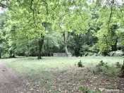 Teren de 4713 mp investitie | Poiana Brasov 