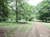 Teren de 4713 mp investitie | Poiana Brasov 