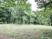 Teren de 4713 mp investitie | Poiana Brasov 