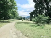 Teren de 4713 mp investitie | Poiana Brasov 