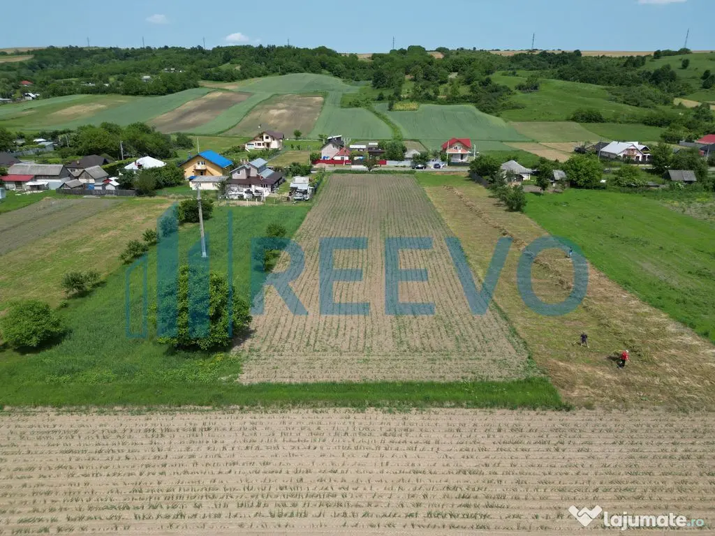 Teren intravilan de vânzare, Sat Prisaca, Com. Berești ...