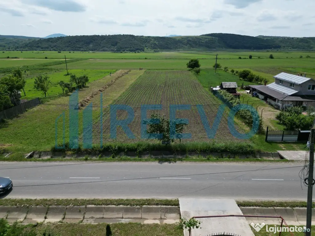 Teren intravilan de vânzare, Sat Prisaca, Com. Berești ...