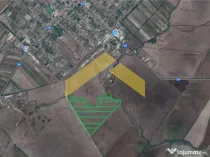 19.5 HA teren intravilan de localitatea Cermei