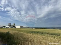 Teren zona industriala Roznov