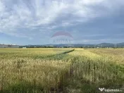 Teren zona industriala Roznov 