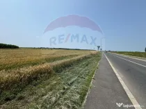Teren intravilan 1886mp | Brănești | Oportunitate de In...
