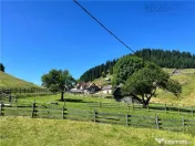 TEREN INTRAVILAN, 1380MP, FUNDATA 