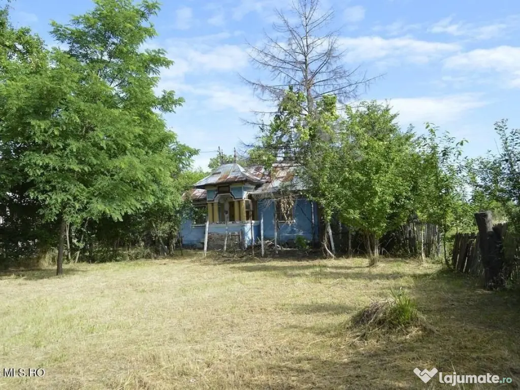 Suseni - Teren intravilan cu casa batraneasca, plan, supr...