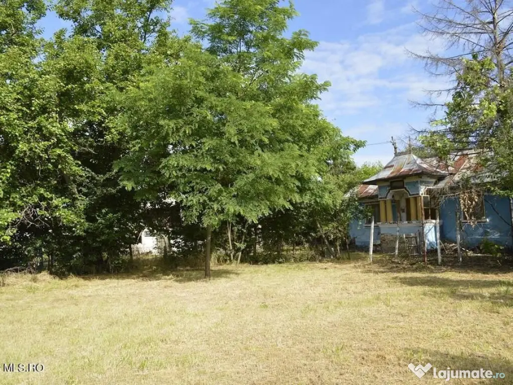 Suseni - Teren intravilan cu casa batraneasca, plan, supr...