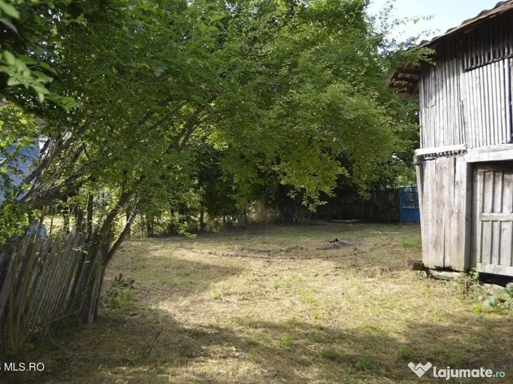 Suseni - Teren intravilan cu casa batraneasca, plan, supr...