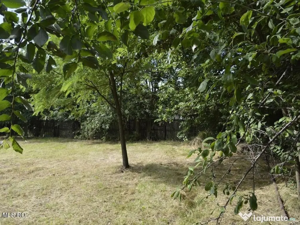 Suseni - Teren intravilan cu casa batraneasca, plan, supr...