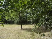 Suseni - Teren intravilan cu casa batraneasca, plan, supr... 