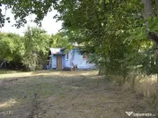 Suseni - Teren intravilan cu casa batraneasca, plan, supr... 