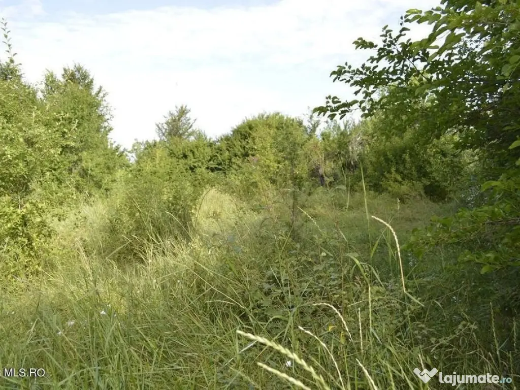 Suseni - Teren intravilan cu casa batraneasca, plan, supr...