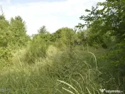 Suseni - Teren intravilan cu casa batraneasca, plan, supr... 