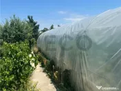 RECO Casa 3 Camere Cu Teren Generos In Felcheriu 