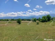 Teren intravilan 5000 mp pe Valea Avrigului, Sibiu 