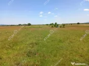 Teren intravilan 5000 mp pe Valea Avrigului, Sibiu 