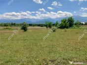 Teren intravilan 5000 mp pe Valea Avrigului, Sibiu 