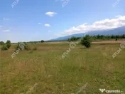 Teren intravilan 5000 mp pe Valea Avrigului, Sibiu 