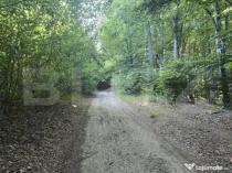 Teren la liziera padurii Faget