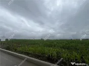 Teren intravilat de 9000 mp cu PUZ situat in zona Industrial 