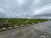 Teren intravilat de 9000 mp cu PUZ situat in zona Industrial 