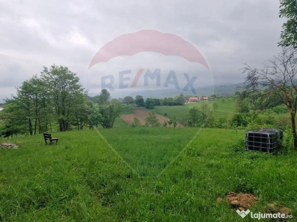 Teren 5,862mp Bratca / Drumul principala