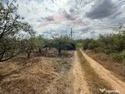De vânzare Teren 3995mp intravilan Săldabagiu de Munte 
