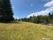 Teren Intravilan 1000MP Utilitati 3 Brazi Predeal 