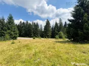 Teren Intravilan 1000MP Utilitati 3 Brazi Predeal 