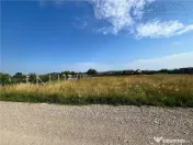 TEREN INTRAVILAN, HARMAN 