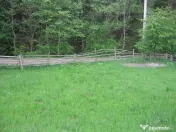 Teren intravilan Valea Doftanei 