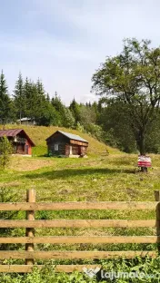 Teren intravilan Valea Doftanei 