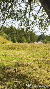 Teren intravilan Valea Doftanei 