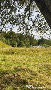 Teren intravilan Valea Doftanei 