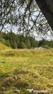 Teren intravilan Valea Doftanei 