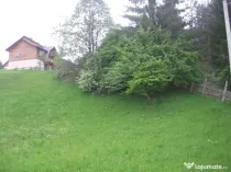 Teren intravilan Valea Doftanei