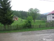 Teren intravilan Valea Doftanei 