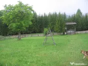 Teren intravilan Valea Doftanei 