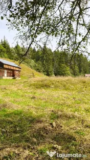 Teren intravilan Valea Doftanei 