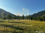 TEREN INTRAVILAN 500 MP SĂTIC- RUCĂR 