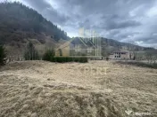 TEREN INTRAVILAN 500 MP SĂTIC- RUCĂR 