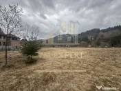 TEREN INTRAVILAN 500 MP SĂTIC- RUCĂR 