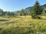 TEREN INTRAVILAN 500 MP SĂTIC- RUCĂR 