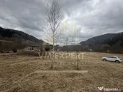 TEREN INTRAVILAN 500 MP SĂTIC- RUCĂR 