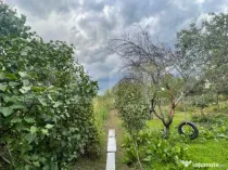 Casa si teren de 2368 mp , Zona Calea Bucuresti